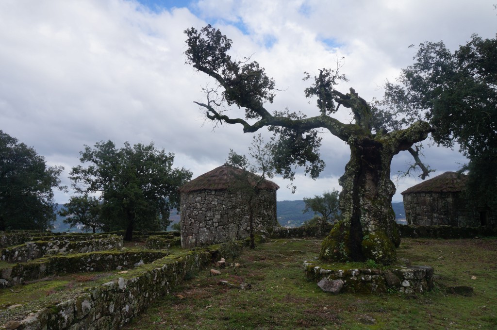 Citânia de Briteiros, een 2000 jaar oude nederzetting.